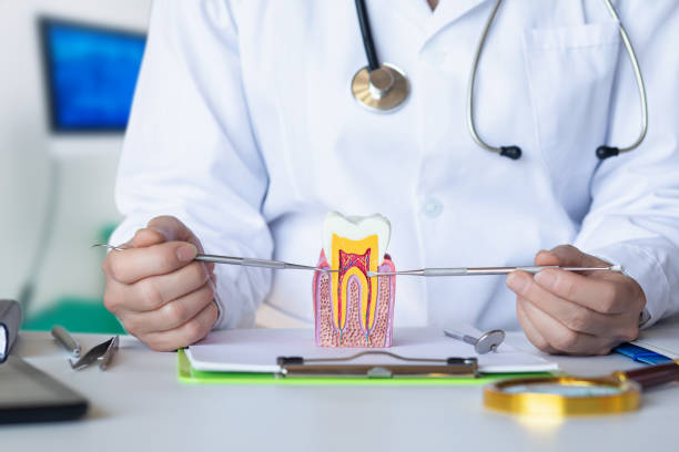 Best Emergency Root Canal Treatment in Whitewright, TX